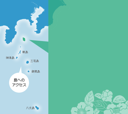 大島島へのアクセス