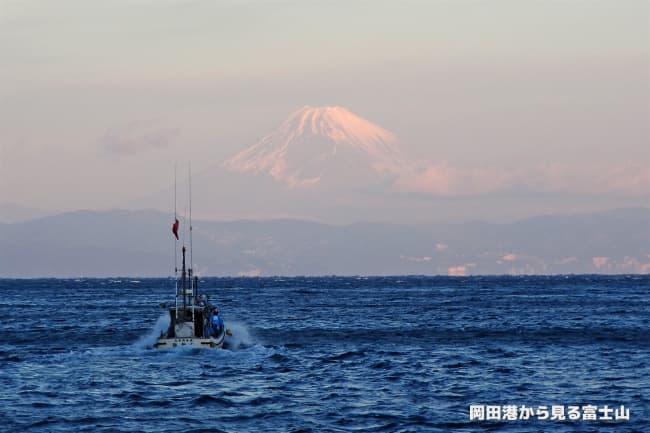 岡田の海