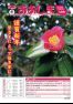 2018年8月