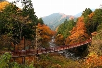 秋川渓谷