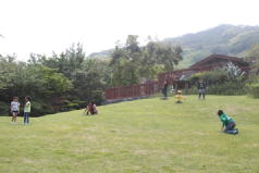 公園の画像