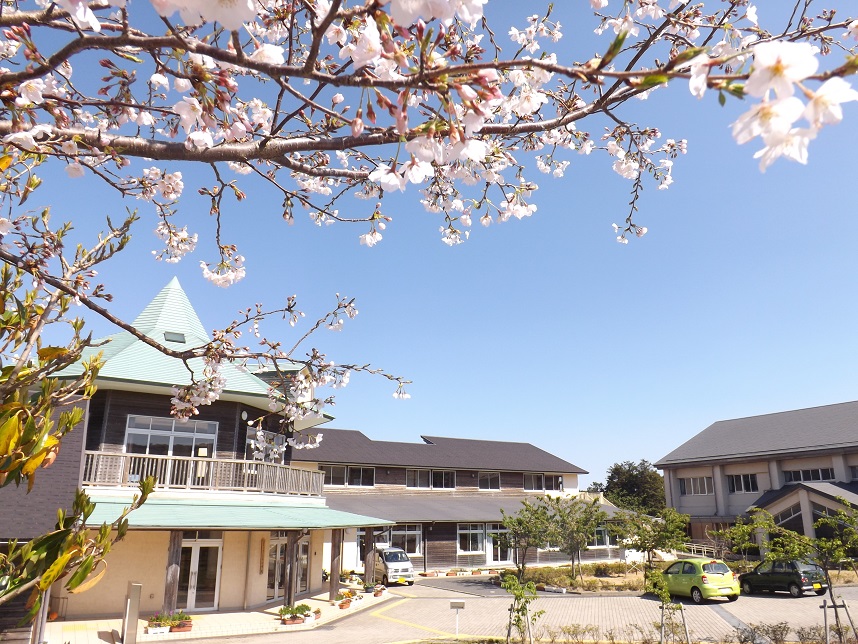 さくら小学校の外観