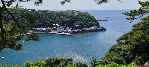 波浮港（展望台より）