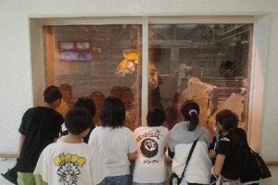 工場見学の様子