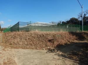 ソーラーシェアリング