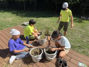 デッキでの学習