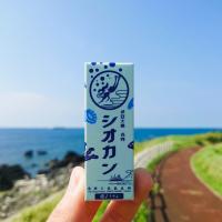 しおかん