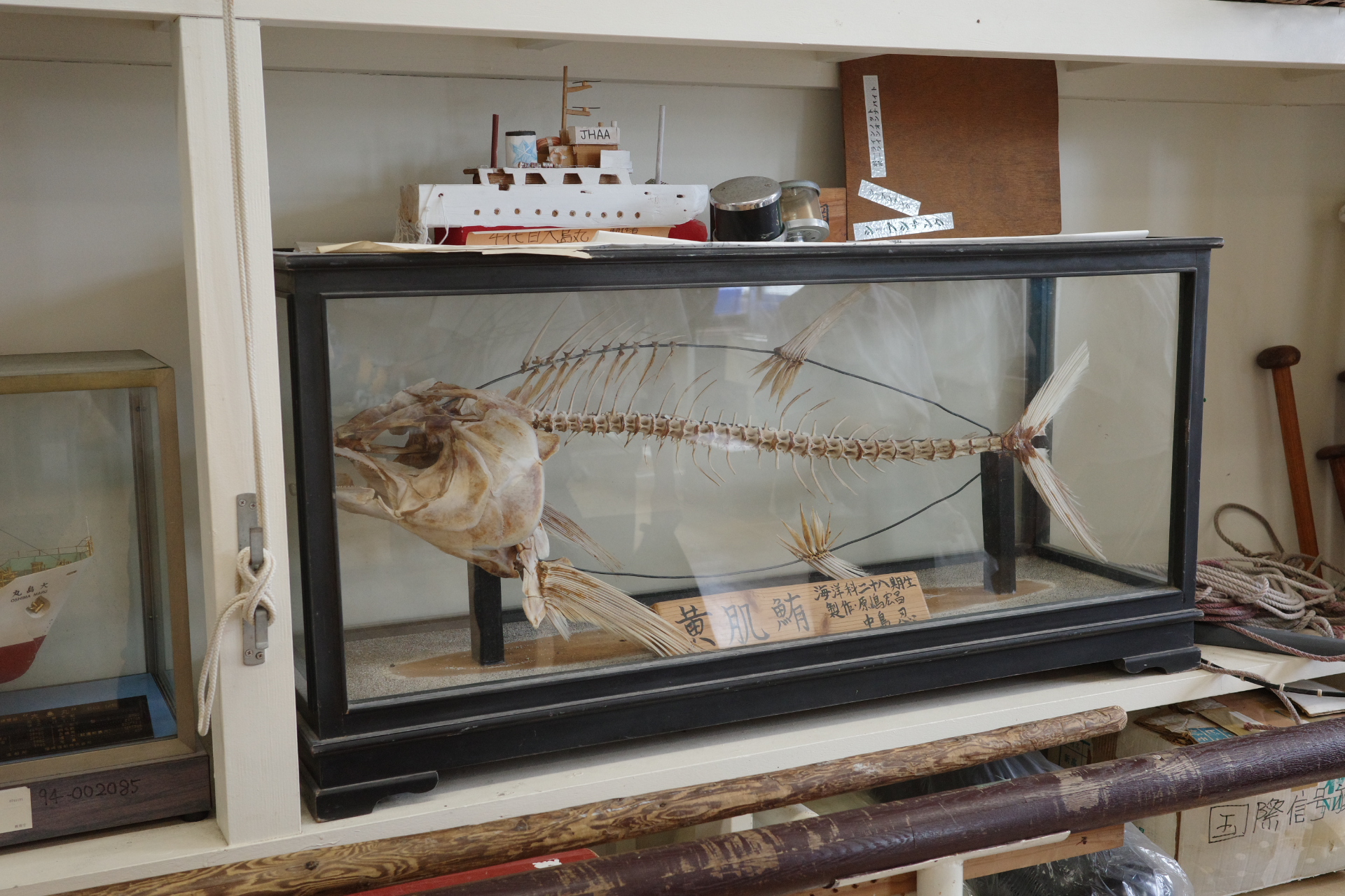 魚の模型