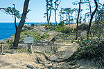 海岸遊歩道