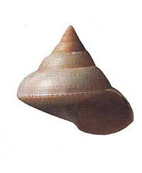 img422.jpg img422.jpg